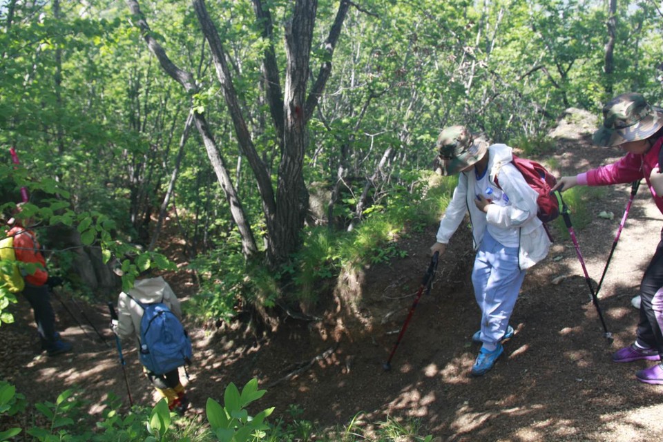 FmRmt-8tGb9OVyju_InyMcfcu8q_LG3prUHkcuUDsurTB94y65Jmsn7I0G18FL43