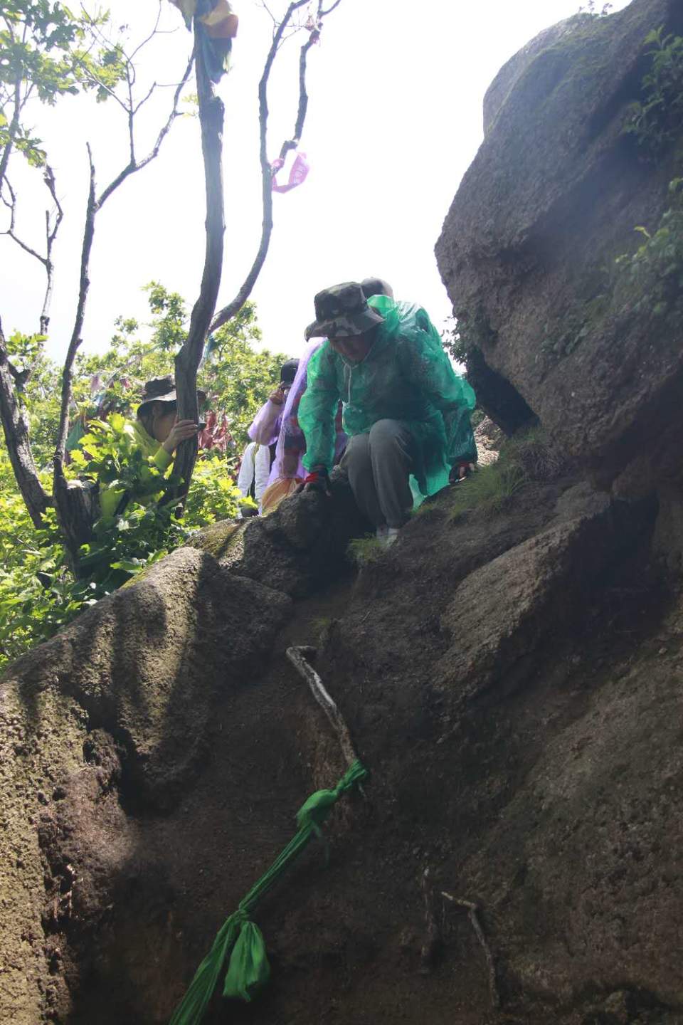 VRWwSiYgIBntZcsoEynW8jLzmVTZHZSO1u7es_A7eQinRHdFlKX-lC6a95j2WLCl