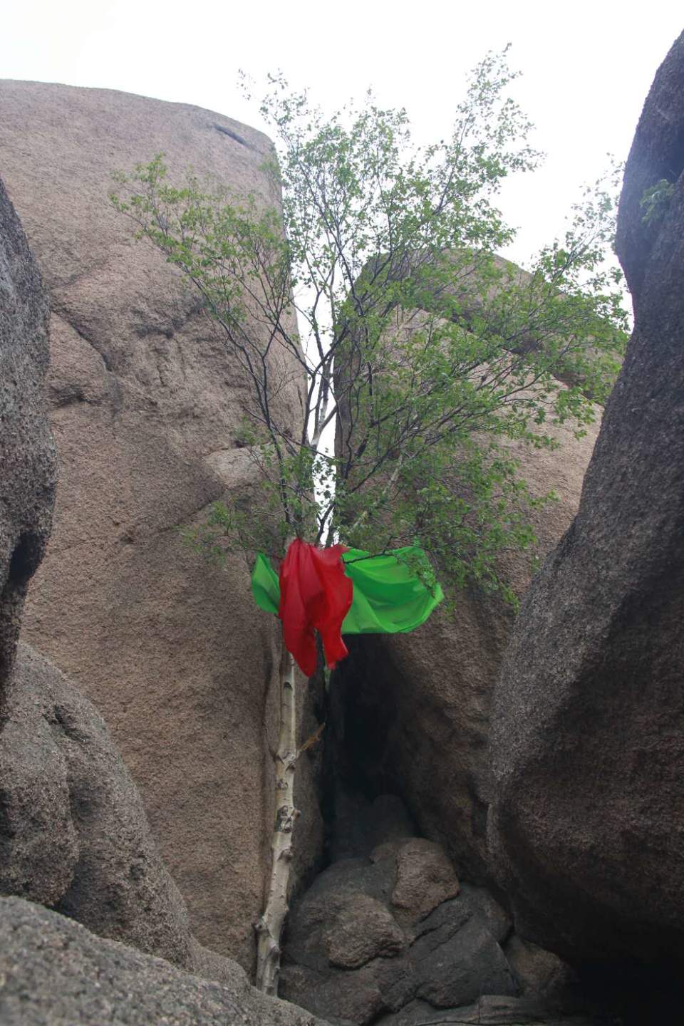 KEU5nMHZzl295zTHcNTJE9D4h9kDHBdP1MERz_SQojOyuc0w8lM-fxCTmgvl9wtV