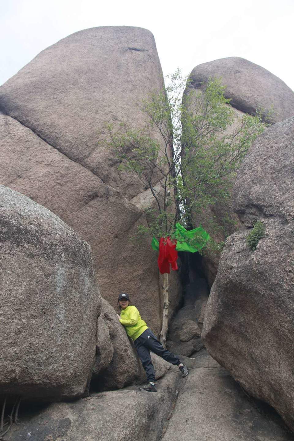 GIXKVvvEUD0CDLtdLQ_SaZH9mtwSm1mucHW1HU9xWLmVRfPhVPphsFvz3e6gm0kS