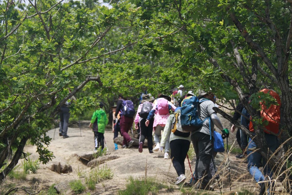 4sY92pS7I8VuVZTCMfNlEUp4DMq755fLLNwBJyEfzPaCzkF_5iA1pLZDMJjP1RWq