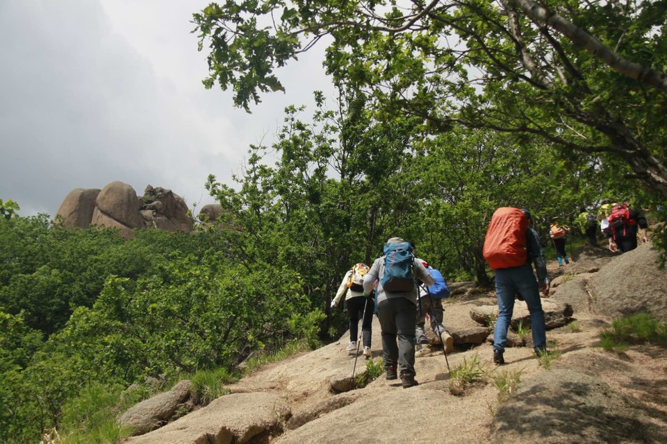 2UEFGgIi2cWxCRY6Xu1ZRdollCpoQYEprjgFJULTVCMNvNjICAl763trhUYK57eW