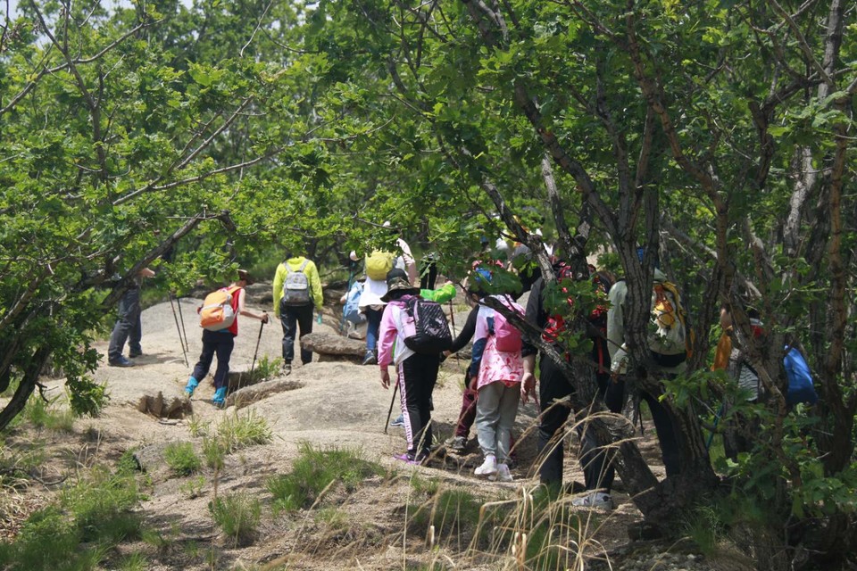 tAYFoU-Qe1pXZJBlOaZbmmZNI3XrIMWmGkPetQwr0DHT0SYsXnoSs-4-qNwK8-j0