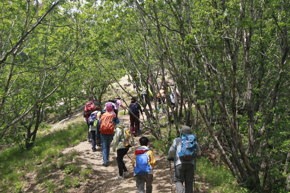 WcPih4jSNyben-DflcgcreUBR8ZgyhqV7m3Nja6xkVOMoBJa5vLnN651SGbqM7BN