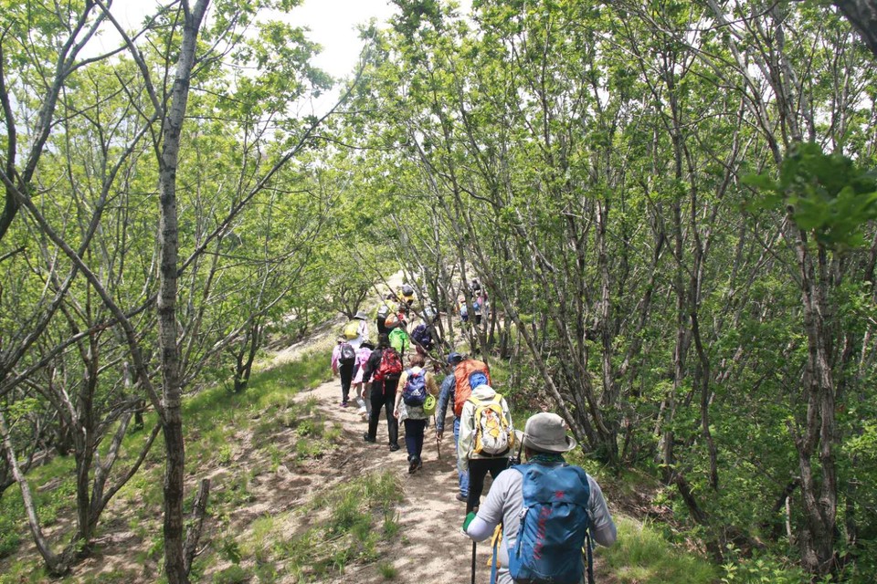 rb5C0hCLNCL89tJHiybAsZDJ7O_W_uOT7_dJHW6oVx3Q0jF4kYwswo3NS2XwrwtM