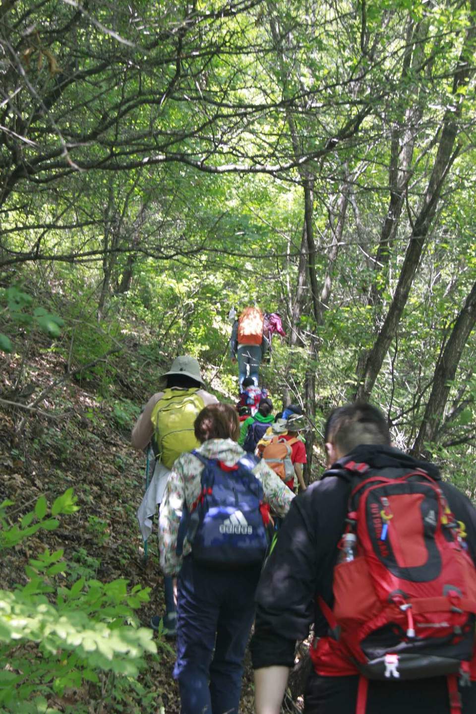 D6idQ4885XLTgPH3xZDoJmaJ40DVy-H4TU0a_XSc6en9RRccDxhS67a5PfwdAAFC