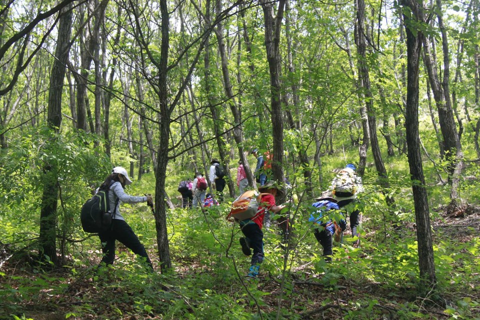 RhYU8NOs2kcd1T2xPouJngNbLv7-31xemdhbuc1K3HUFjk1FQA2RRzChvIU2cVmg