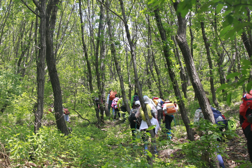 tMQvtlD9iHwaShlKBoBAFBJM6UeeyfIa87ApDg13B6pJctxqKcw-UaqJF-e_OiNl