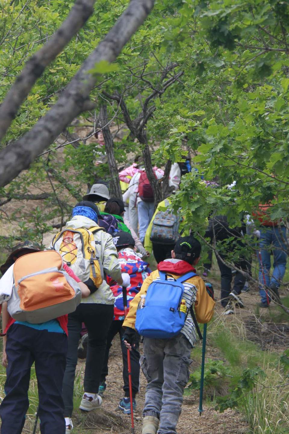 55rRHCKVn8hZdj_tCTQv4BgHoYIYx7WMAzprGA3v6_zFEVm5e3cCw3_EpucDS_x_