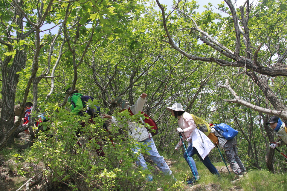 yiJGx6g4hRRiGJfOf8VVjcaLT4hWG9gBVpc1IX1-hesPyuP20Gl-XO2UcUYZ3NEO