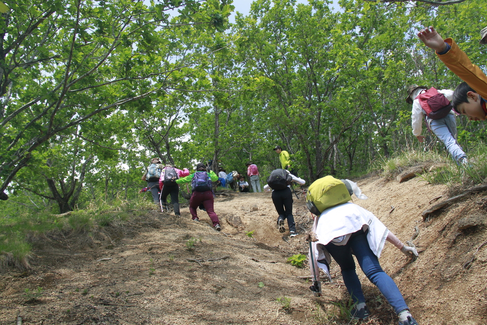 _IWjzH2pHEg5YBKA8JYzcO16r6rcVlAcpw-0gsWfjoho0twqLMOzgPYt1VvaSoSO