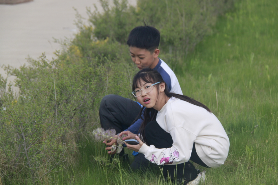 bE6rFaLSGQmV8NqlaMqCfYMhRyOVYYsNNf1NdXuKnu4QnqYnWIUrrF5rZDI5Sn6w