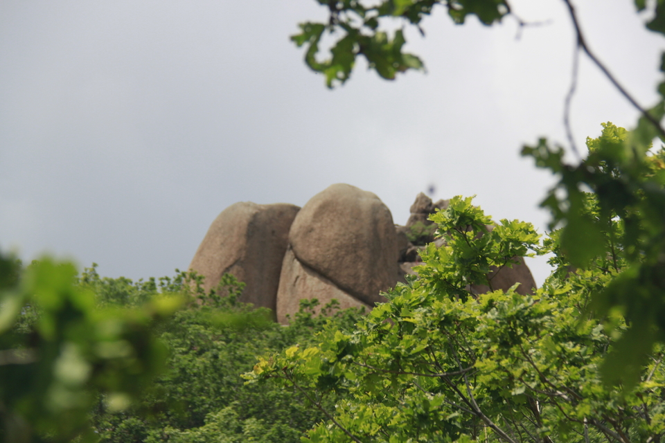 Vf6Nn5NBZtPv1pdo0zR9pnmCkh7z2AbEitTEGgu9rRinLRnpEpszaB9j8Hz1uIik