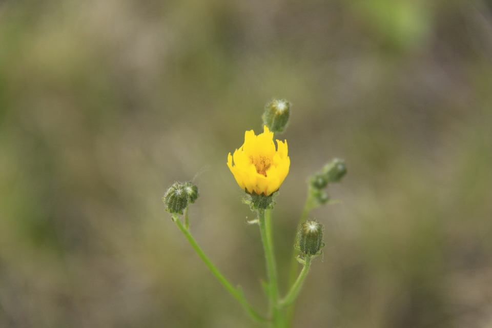 sDK2a7144QyZMbLqx_-Lj9maOGOZxYSixWPcGbqNzorfdX0wnea6fKFkOkYhPz_O