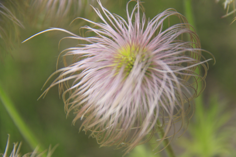 OdnvjUptHRn4BfraKp7a72_8kk-oNDEzvhhbrh4DvWUVMG6gHu7Qqq10Bo-aaJQr