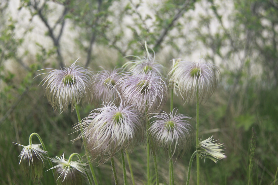 NTITqQAe4ZiftdsXm8yJax1Zp5exE9kr00u27EFkmNHkwiZ7IEHiy48zH5jwNPan