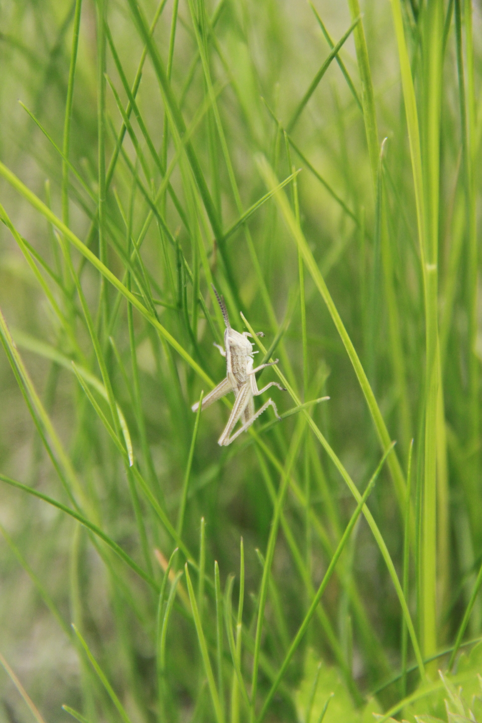 f3jbUdZPj4c32_zNG5xB1sQV0Lkccq9EFNSSAgGZSOHbN0C3aqdhpcmLdYi45-fA