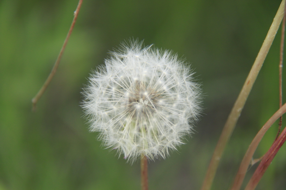 deUAGJheDBr4TlxlWAKGAgAN1QqyMJFpmD7WhUcbaWyWHxPvXV6xJHHBkcLiYJJ9