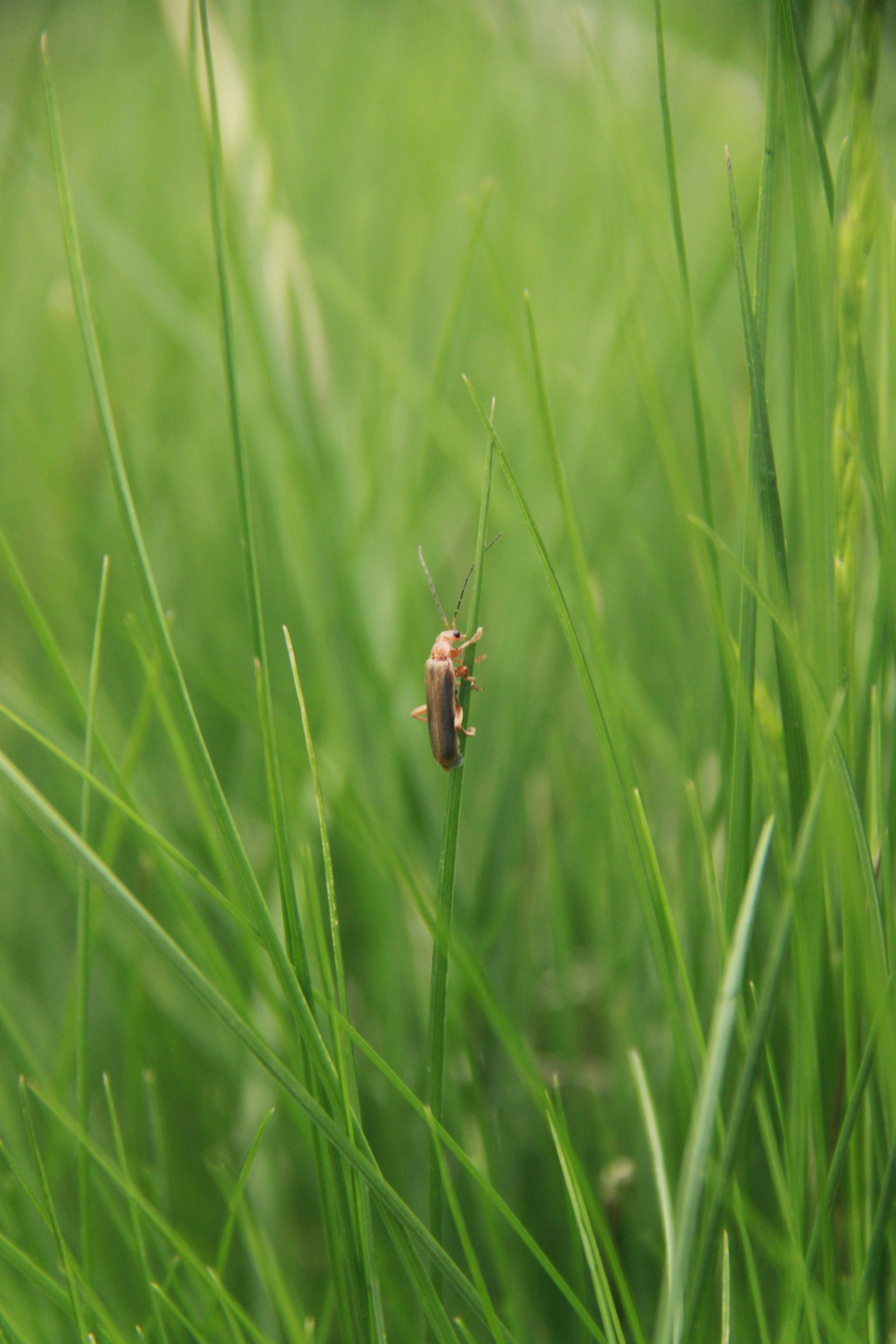 F9mEVSF0jSe4-clY6Y2ZJDRtdqQ06b8foBzs3MoMlHWr61Qcy6UtOFn6Uh0PDOAZ