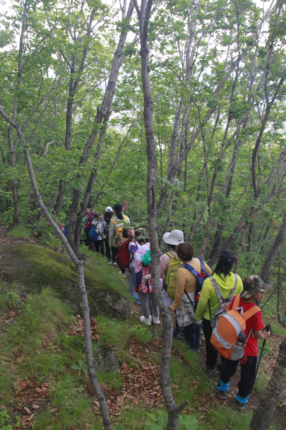 NM3m47fs9TZYh2s5xUdKFFmWxa3X2hLBGaMdMr_wuTGvfHZlBDhETzQYEuUjGfPs