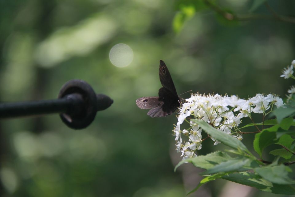 qfg0_ofbZWPL4rUKSfHiVeHRplpu9Nxu5viNAmDlzd6nnhVPem06UxJN46jIClB8