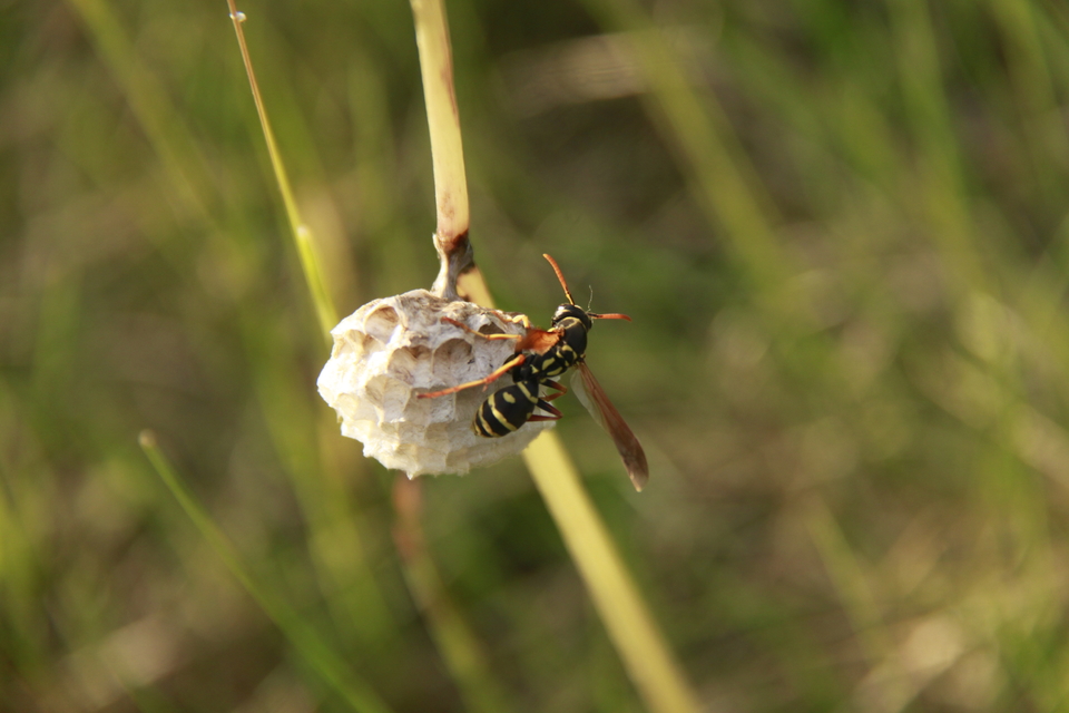 8Mxa80aGwXc0muNN2u-6UK4O5s8m-zAPrsB8Xz0m28hjvlrcVYlLEDHgtEeEPgNY