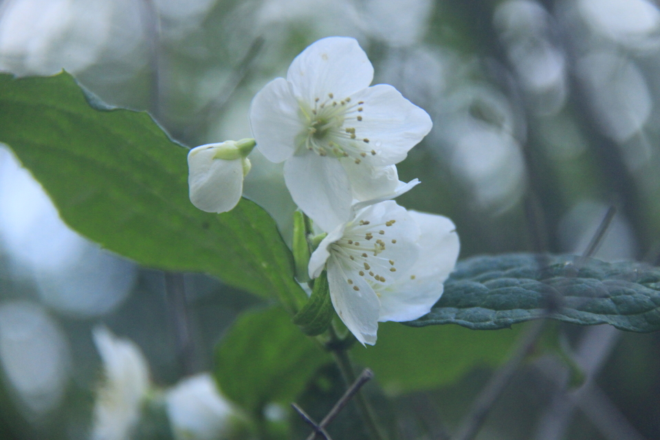 IEiPyla2T5Bv6jFn4qBQqe6bpLvjEBMgC0KPbmdn1t55f73rFs4Ql7fLujlQt5VI