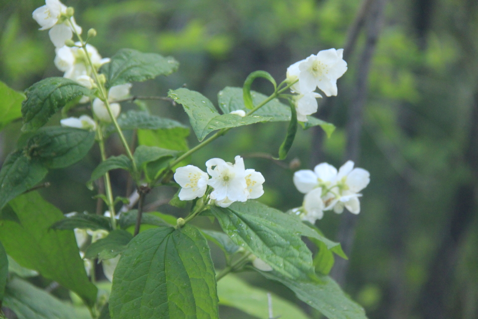 -tUhWIkMjjtOQw2BcvqlzAnIbXW32rK99MilRGGUYPzq-ywY53PPCHpPRuI1TTv7