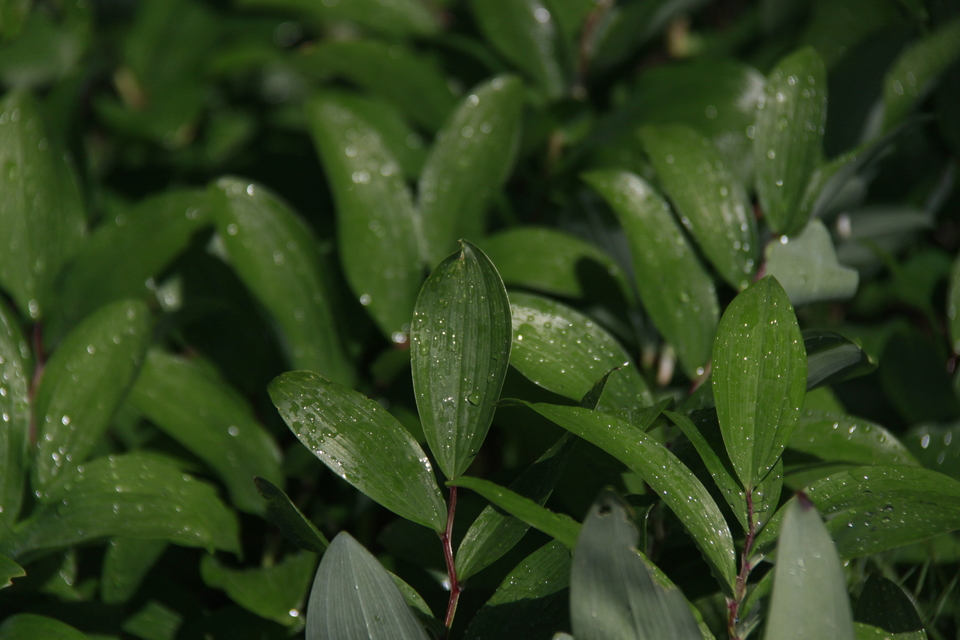 NDUMTERqA4_XW37TrAiKYMFfCF0h6ABKIhY1tfQc_NGlVFvGEjwaEFR1DrvEIgV-