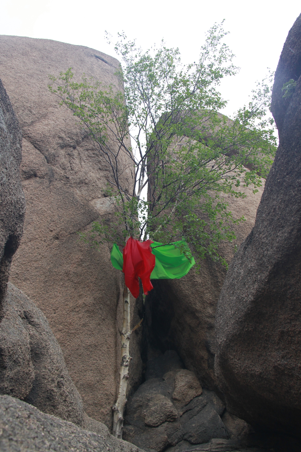 g7ZOFAtTmN3CsOA6D-bSD_w9Ks6DEsU1Y_xJs6gg8_29UenM6zr6qeTskig1GurI