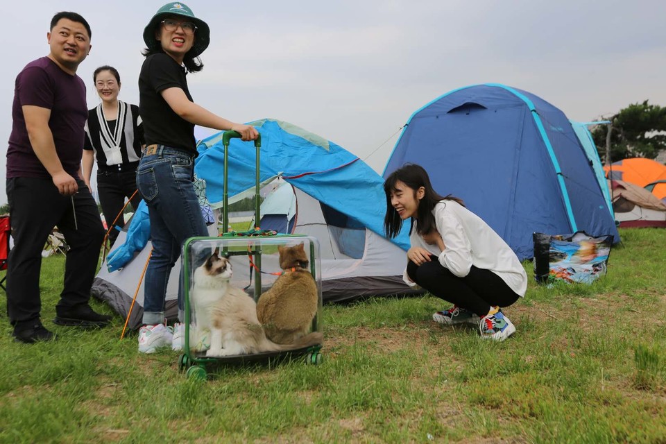 Tcec90sAYfWFRHZc4Ut64RFpGknAW7iqIV1mo5PHIhswAhw--K_q-QVZZyuV_fcu