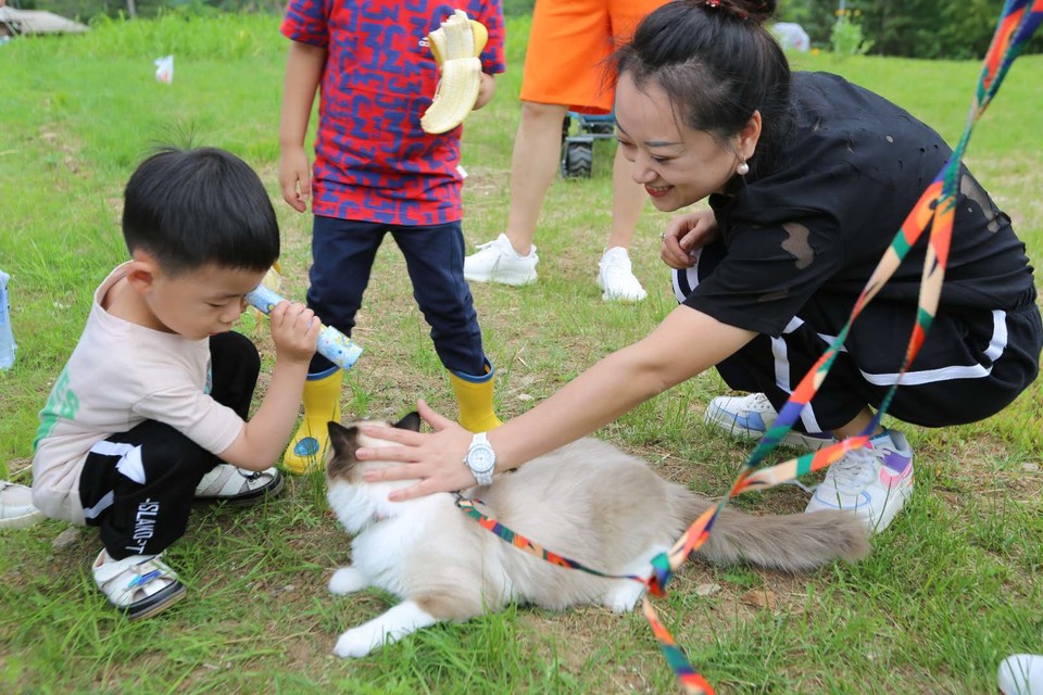 nzyiixIUHh2Q2ySzk-x4-d4fOnvXweESIXmiiNTAsIOT5pWY2QAFLbKQ9LzyBs_u