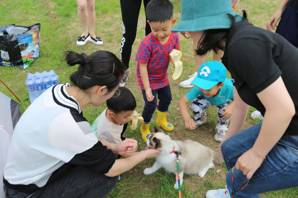 nzyiixIUHh2Q2ySzk-x4-erm5Zs8977LPY0L6aVdF9Mp8XzpD7MjUzcBUO8dHSii