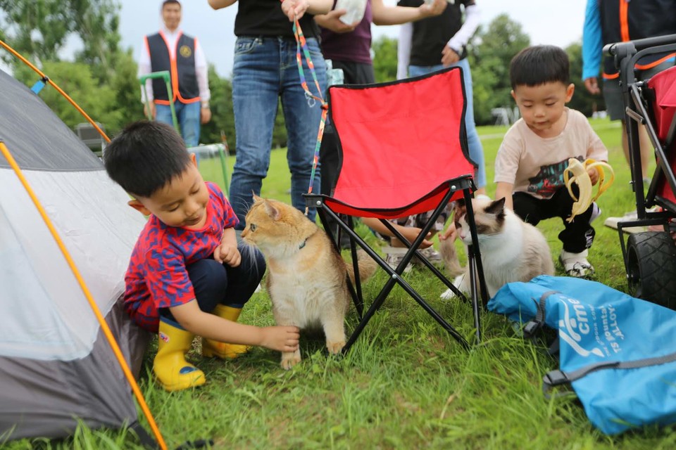 nzyiixIUHh2Q2ySzk-x4-eXxyT6kScIWliGLzhmxFK5c5-kE9Ef-2Od1CuPb4nv3