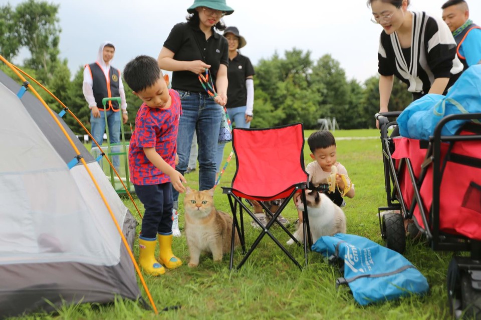 nzyiixIUHh2Q2ySzk-x4-Q9X4FKOEqVa8N3d43AKVdWQUwfTZtkezKtVPNuuiDWN