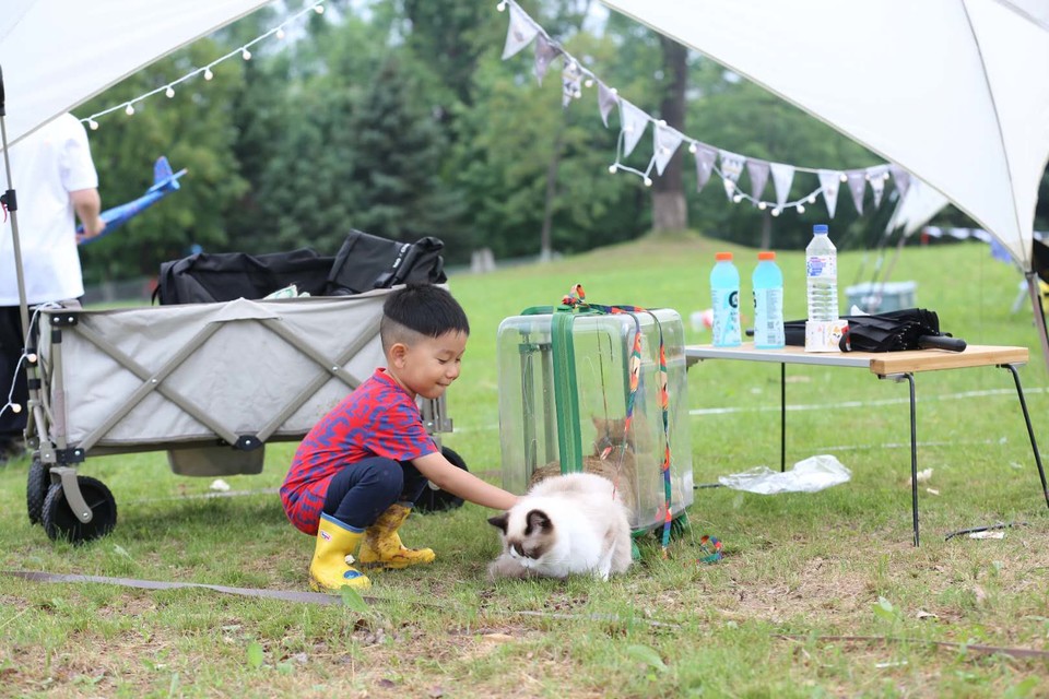 COFUMUXv6Ra821Bh5_igvmWIC2k2pQNKP9Eq4_W7AwSJ-DX_Pg72-_9BXz41GPcS