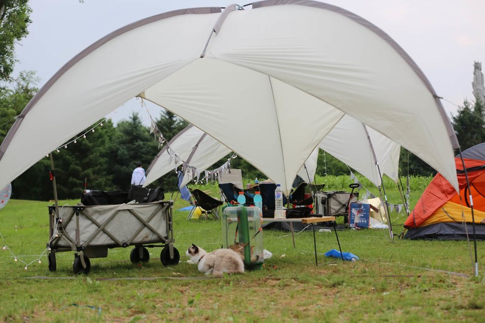 COFUMUXv6Ra821Bh5_igvkcNuYu3vSDF3vp_ahAVSCY7wCnxVtrNRJUcVL-wG5gs