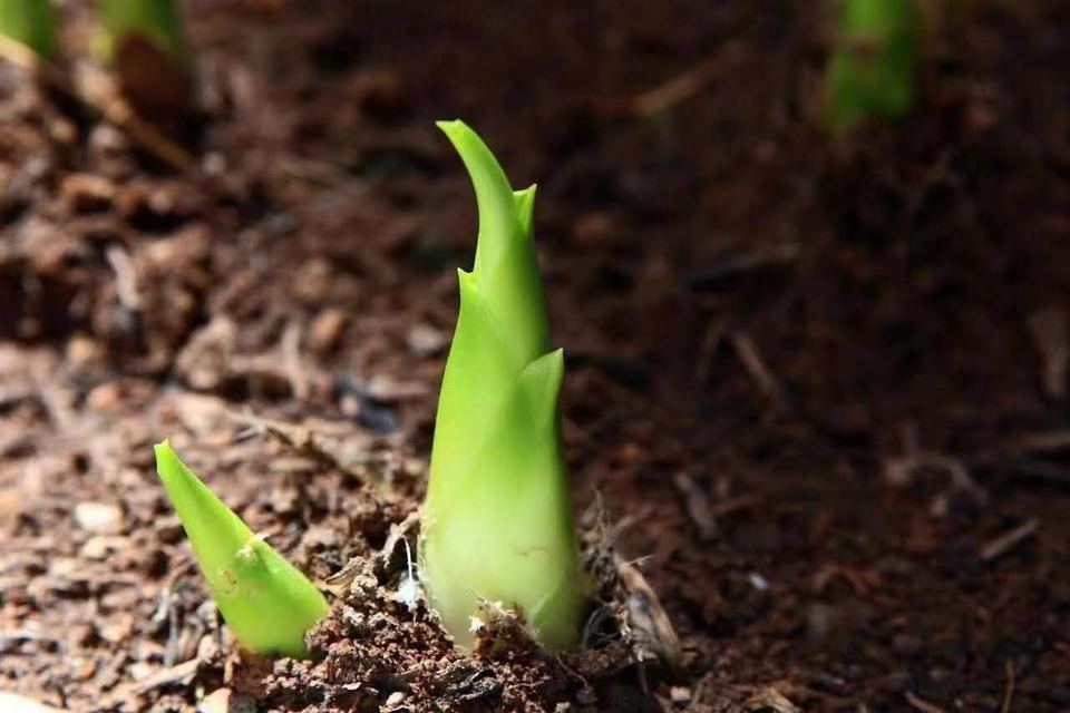 cf0avYtMKSqHR42ox4DkJ8HQUymnVo9vZqaFUSpcj1h6IOucC4XYVLE6YFF5fuZ6