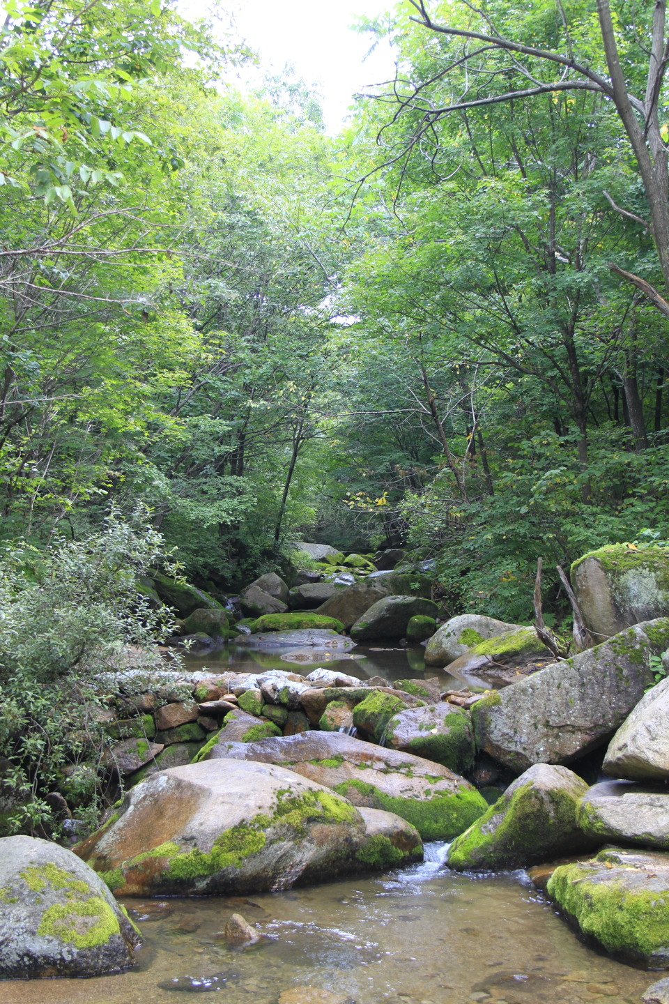 PAXO46pq80Rj0mVlDRh1z_zu2yW778eNY2gu6eThaVZGU3Se0JHsDkWB4StLpe9g