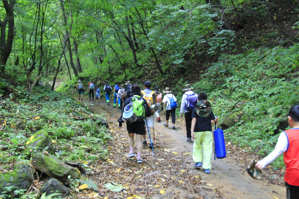 PAXO46pq80Rj0mVlDRh1z6qSA5PKYBlM5f_OQqa_-Wd01EGw_hmhiKpvdKcb2lSp