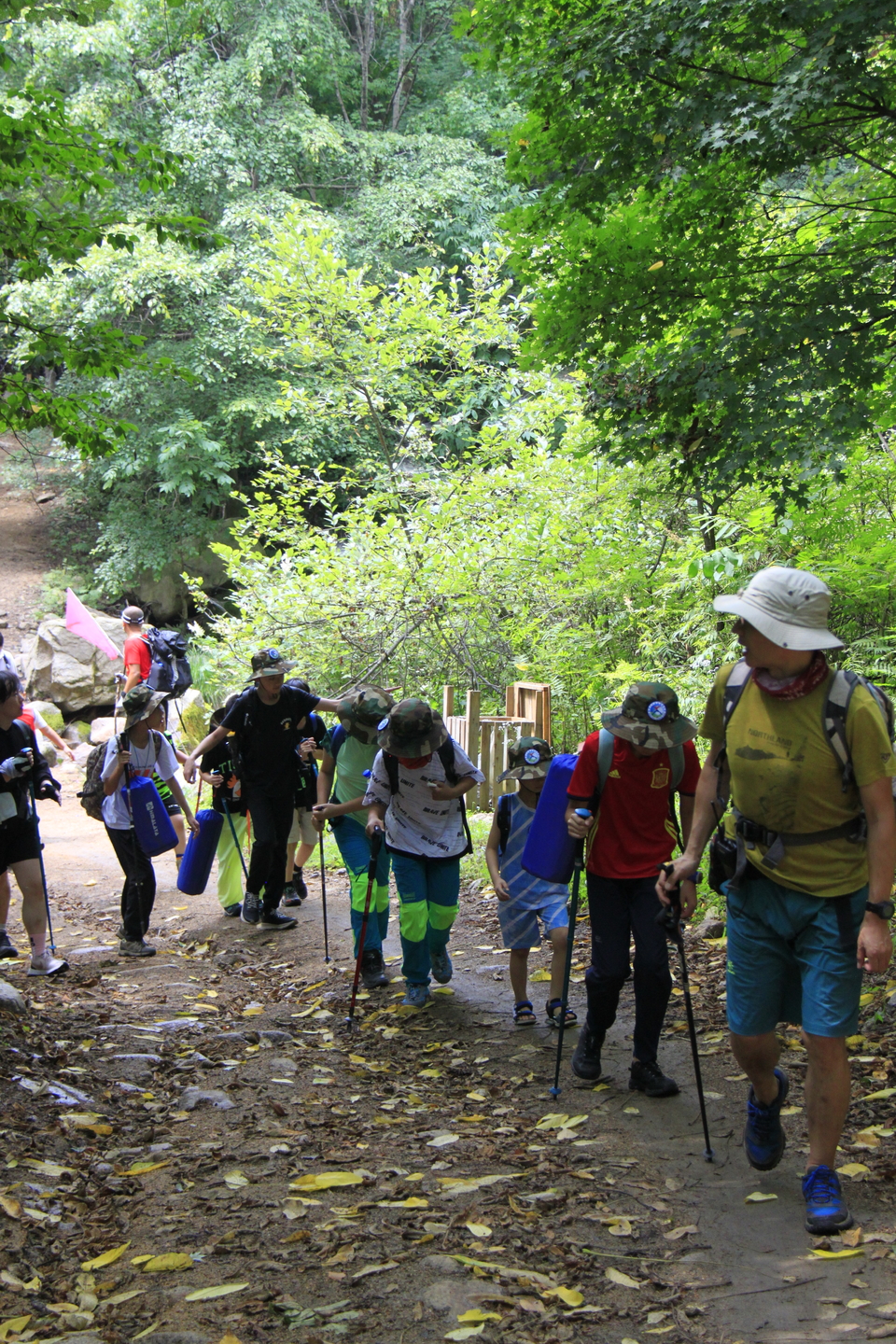 PAXO46pq80Rj0mVlDRh1z5kVR5q-cPtcycF1NUBMDFe1XNnXx5e1dBG_UXacgcRX