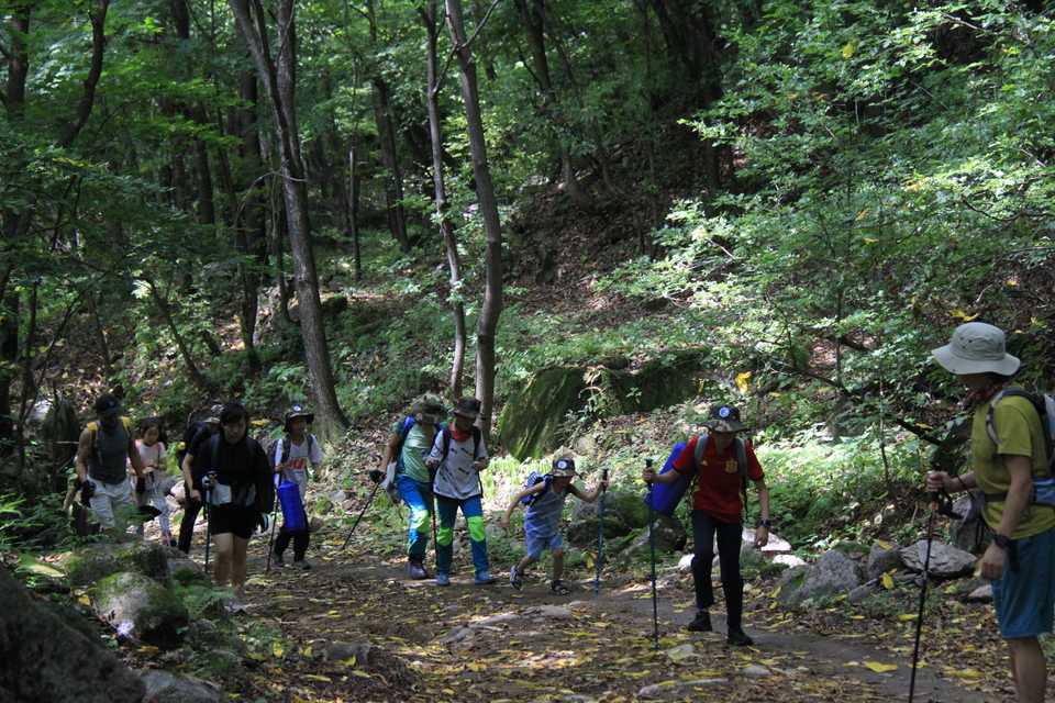 PAXO46pq80Rj0mVlDRh1z3IgiqnZObQdKzJvCgRhnC3a-lB5xOuXWAQfFKhxuu9E