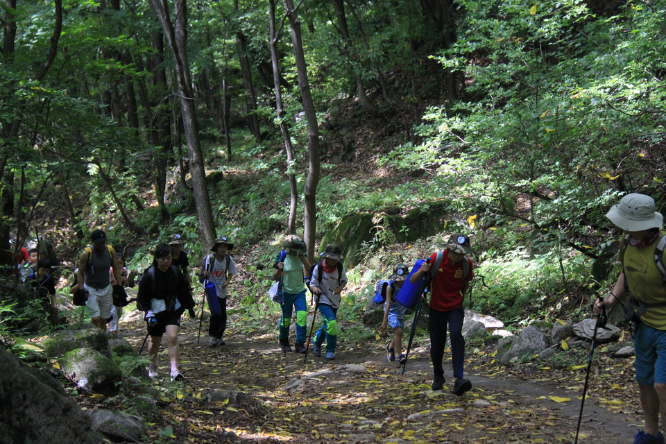 PAXO46pq80Rj0mVlDRh1z2FWGWo-uTLOTbEv511L4PQzzhKpWSa-N5GvRVVCJa8x