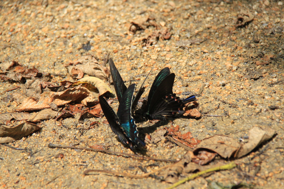 PAXO46pq80Rj0mVlDRh1zzrRAshBbRcO68dv8Po0C9Kvp2BhsqyZELguhHTHGYJD