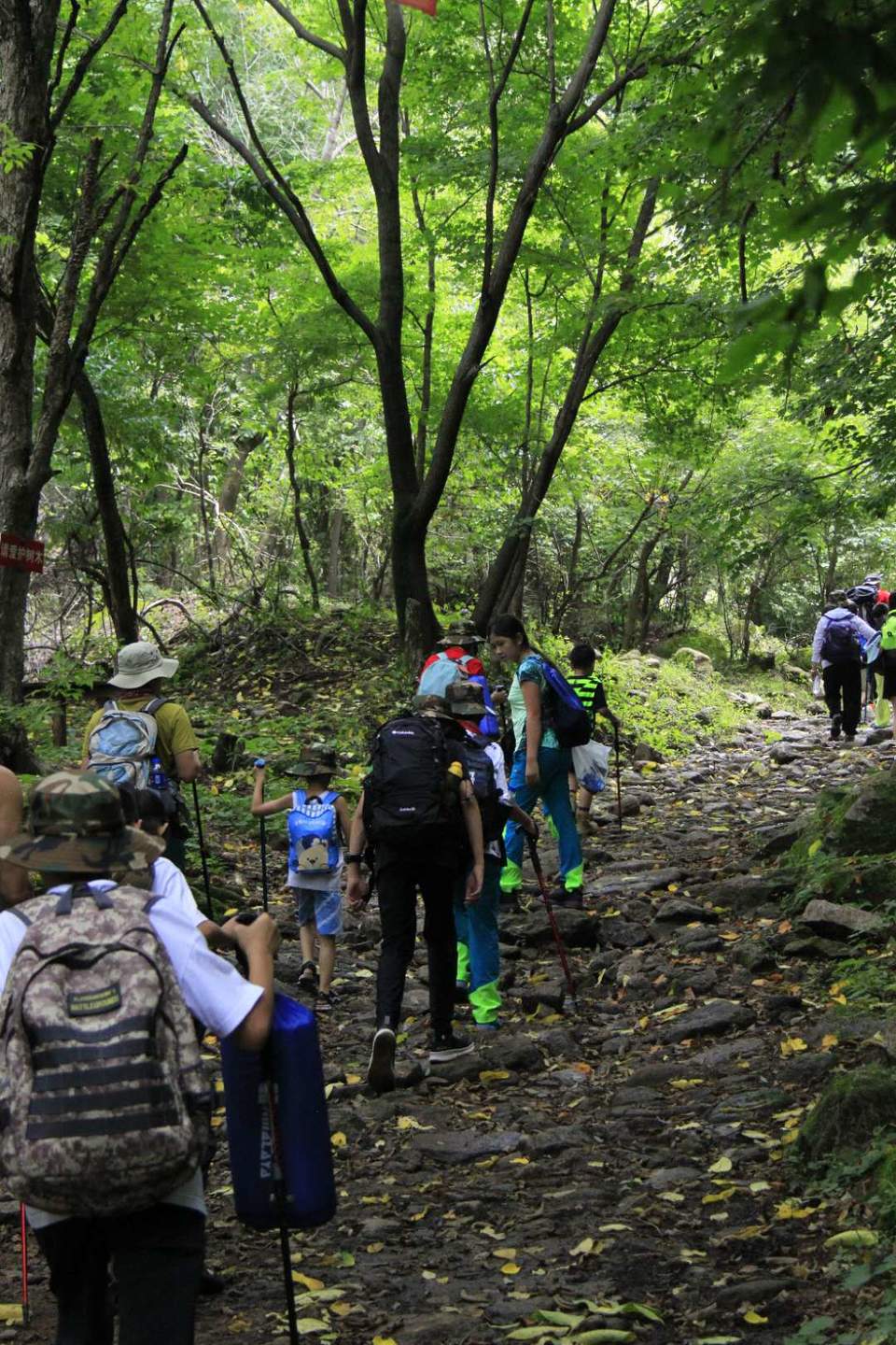 oa9DUZ7cSyDB1GUTIluBuWiy8ePYolZV0aeySqEUUEn4sHhr2TB_l1r-p6XmyyFi