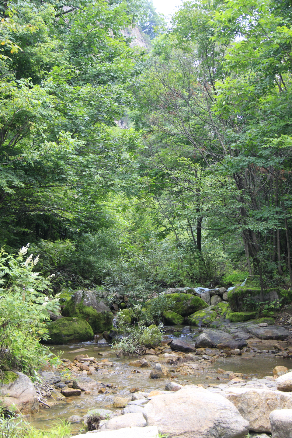 oa9DUZ7cSyDB1GUTIluBuYOyhSckLtwRrcqYfOVsTuAVNnbZgxOroml_rM-eYMgz