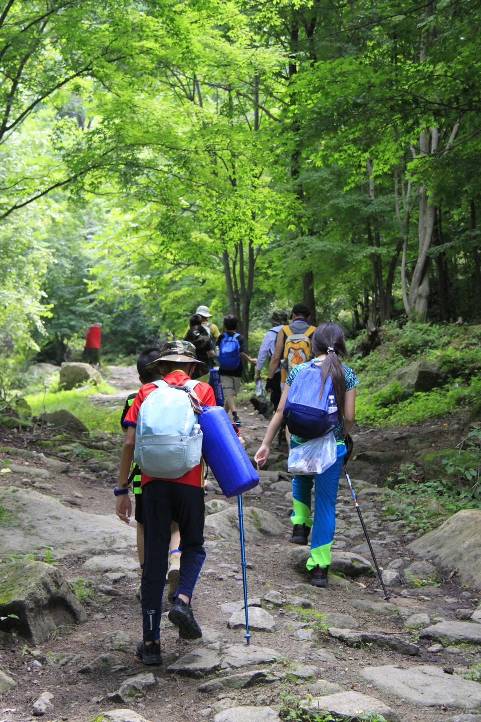 oa9DUZ7cSyDB1GUTIluBudOHGlg0-qnIFjiRfuq7MprpotJPmYOGDCqumGgEsX4C