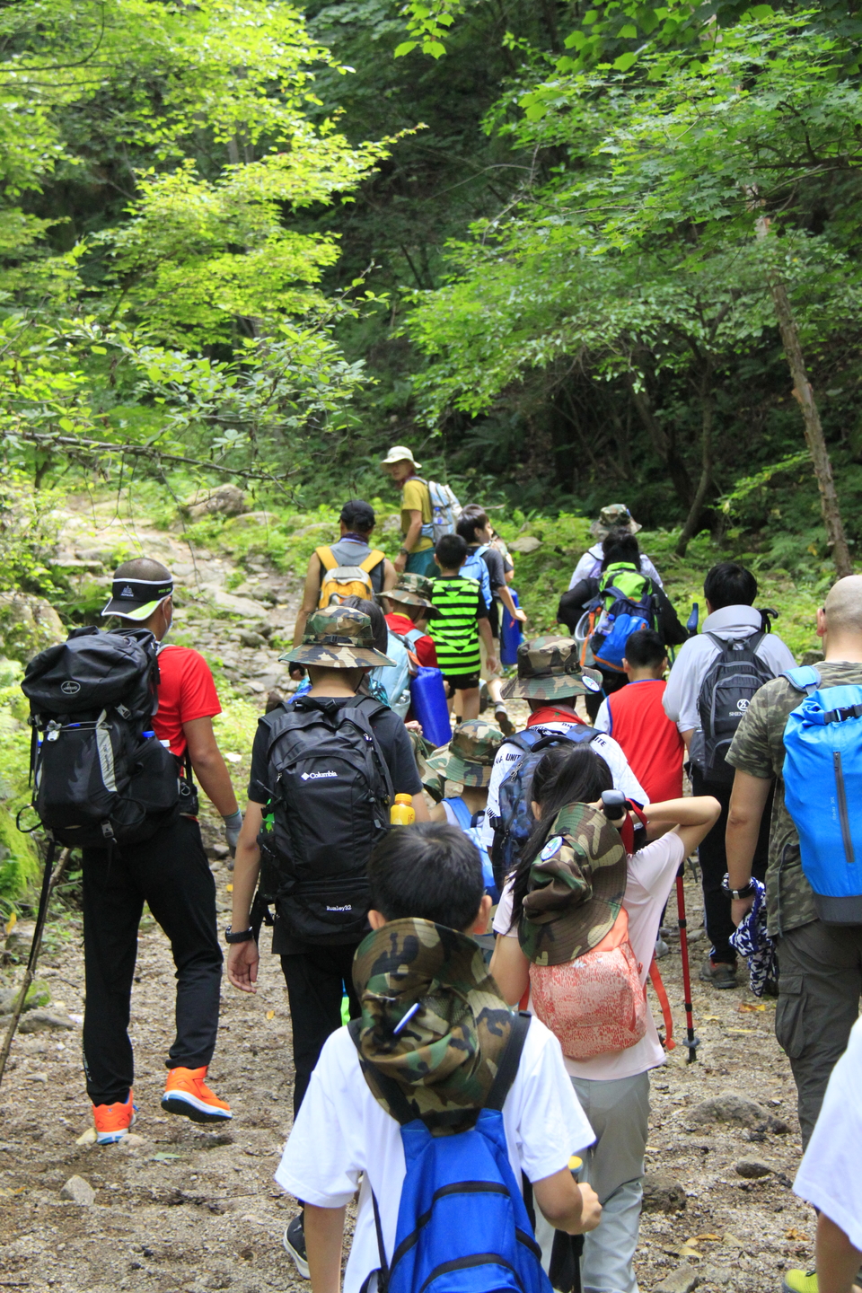 oa9DUZ7cSyDB1GUTIluBuVY61DD3HTchbyXXgze93nDujMSIWyXrUxeAMJBqv0CI