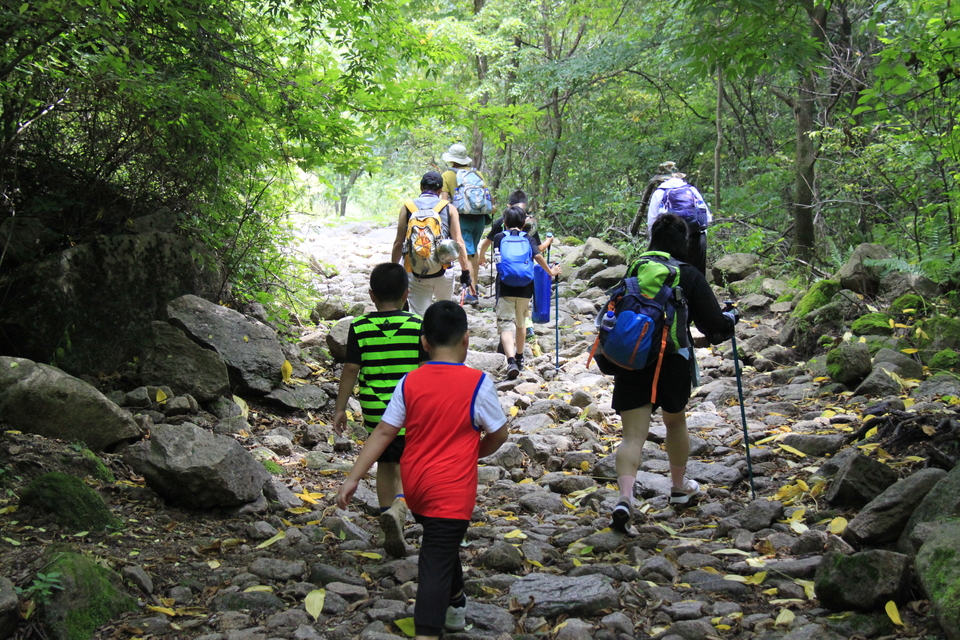 oa9DUZ7cSyDB1GUTIluBuWRdRVaMTqmyymogwE9uvrUD_2gKBpfQpWO55im0x8fH