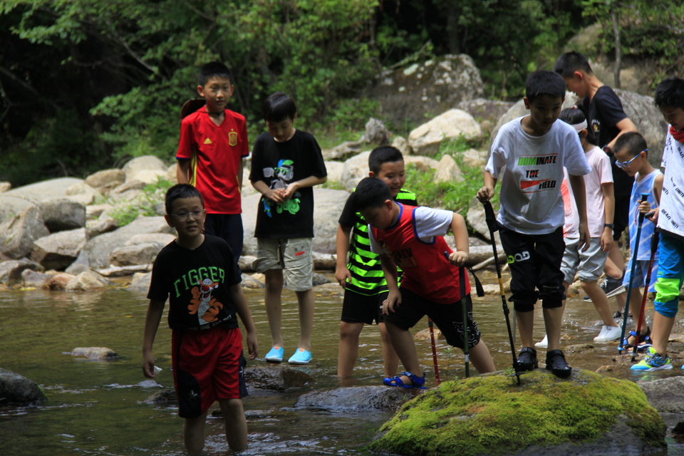 oa9DUZ7cSyDB1GUTIluBuYRjqewi8URtYcjZjA39ZRqeSmRlpYdEp8SDMXt8PlQZ